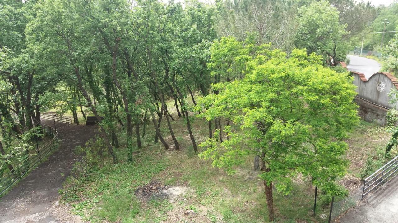 B&B Le Tre Rose Di Maria Pedara Kültér fotó